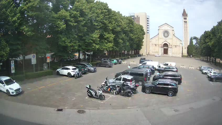 Live Cam