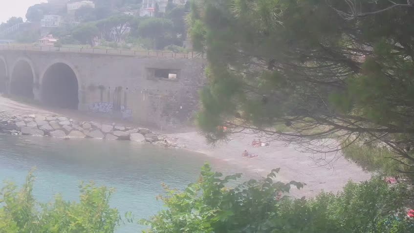 Live Cam