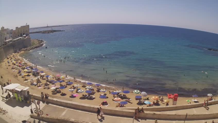Live Cam