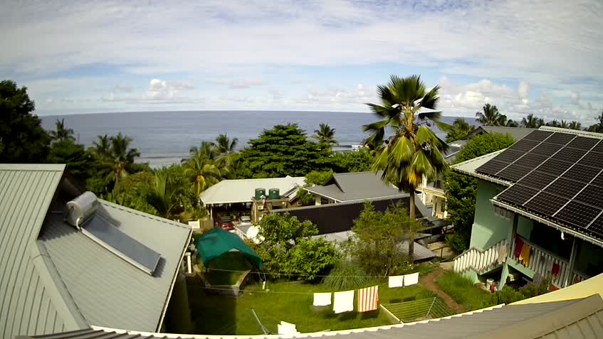Live Cam