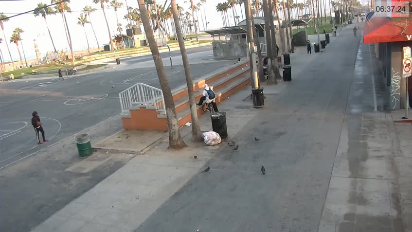 Frente Inadecuado Leo un libro LIVE】 Cámara web en directo Los Ángeles - Venice Beach | SkylineWebcams