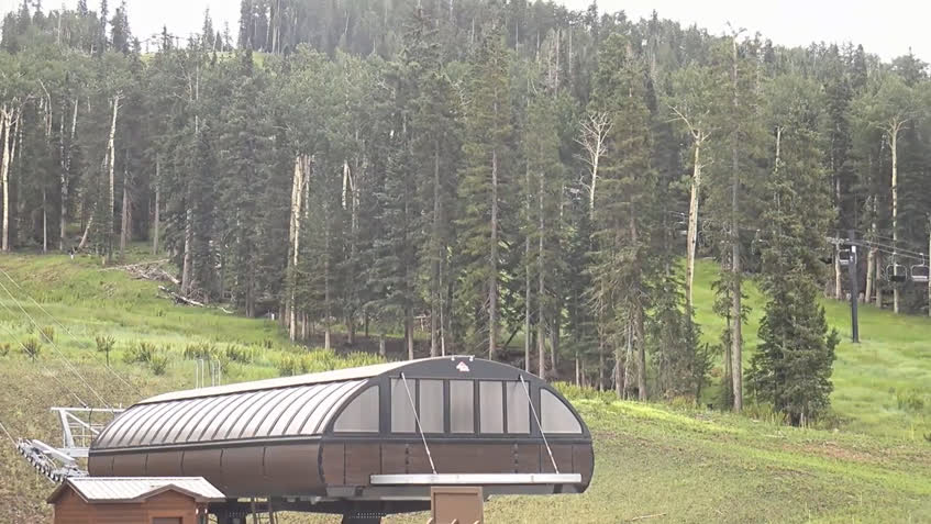 LIVE Camera