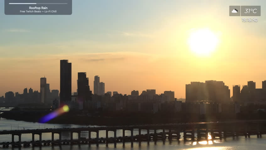 Live Cam