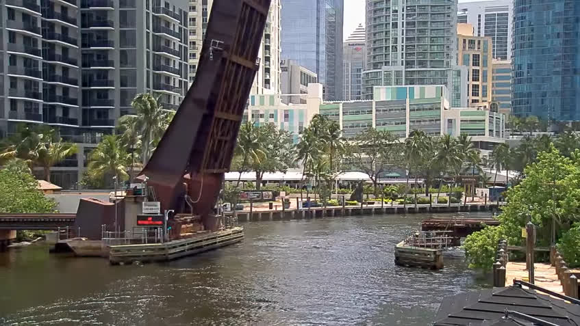 LIVE Camera