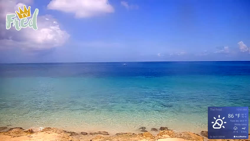 Live Cam