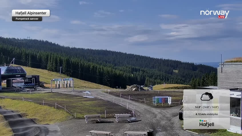 Live Cam