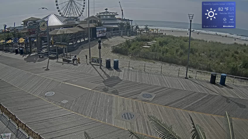 LIVE Camera