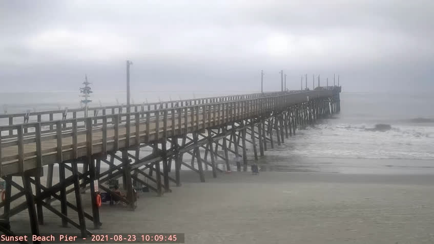 LIVE Camera