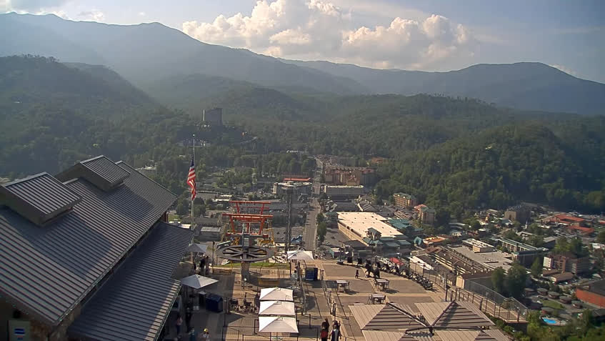 Live Cam