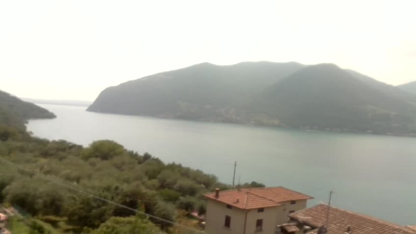 Live Cam