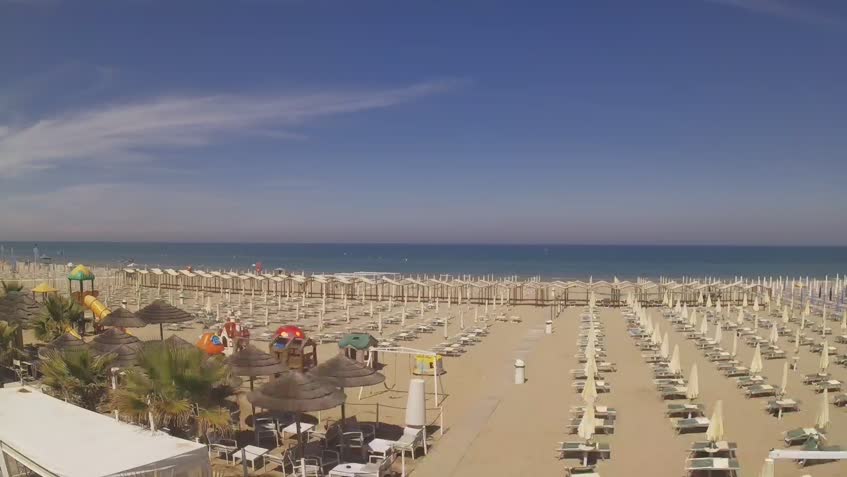 Live Cam