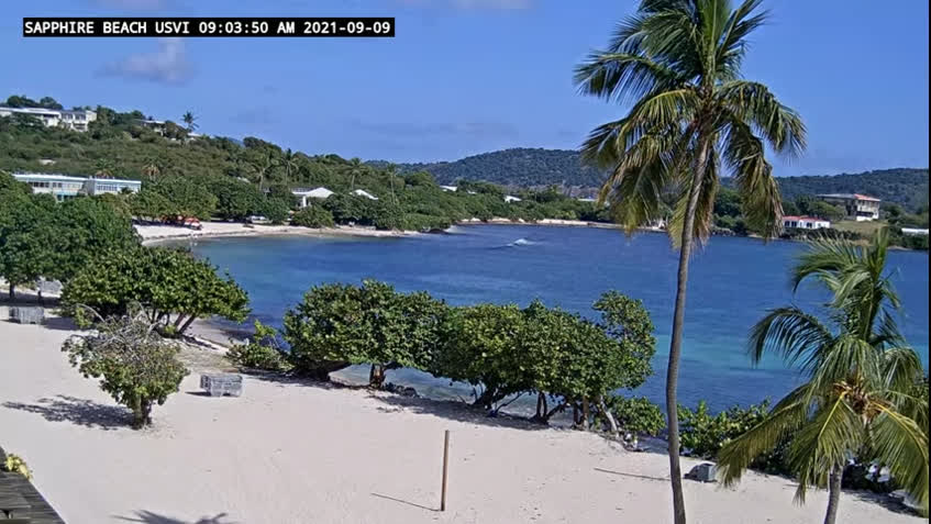 Live Cam