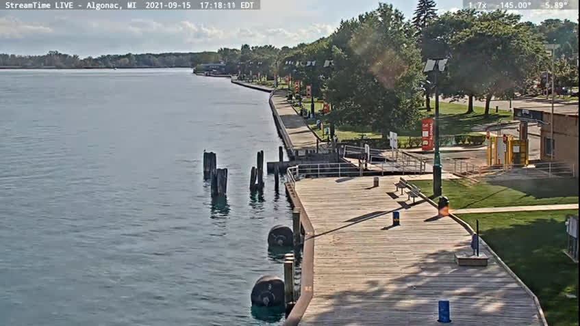 Cámara web en directo