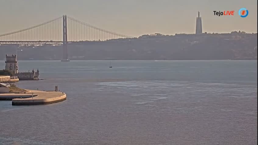 Live Cam