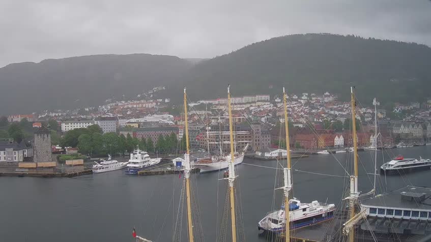 Live Cam