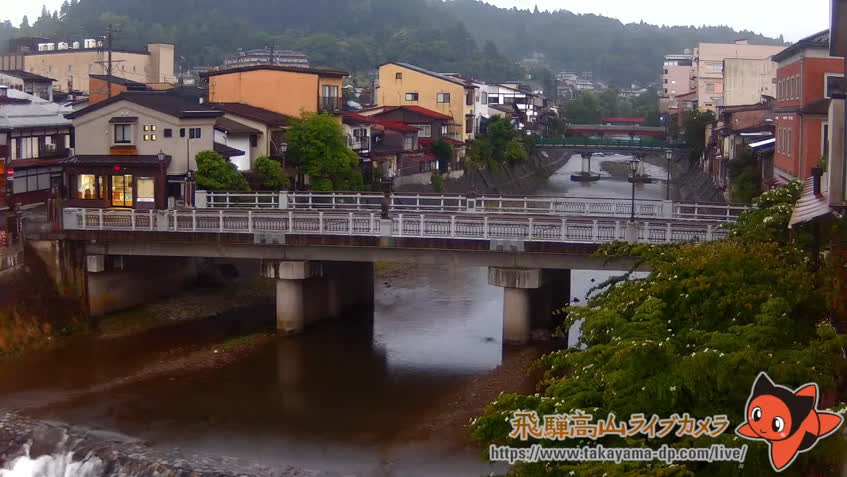 Live Cam