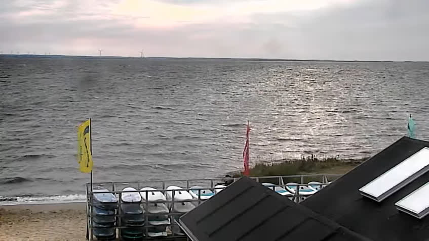 LIVE Camera
