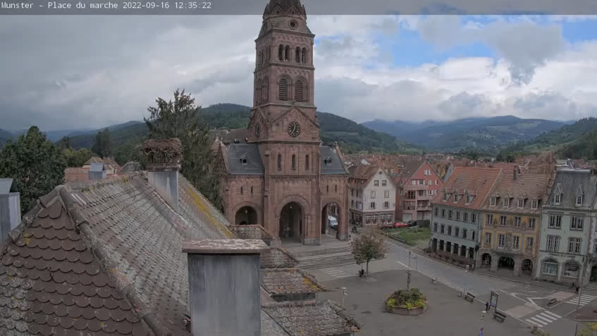 Live Cam