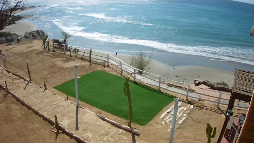 Live Cam