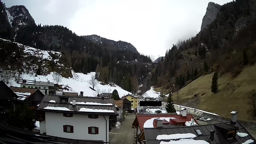 Cámara web en directo