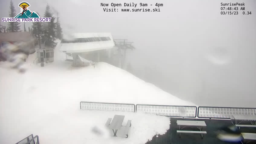 Live Cam