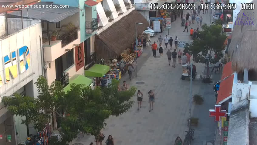 Webcam en direct