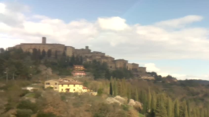 Cámara web en directo