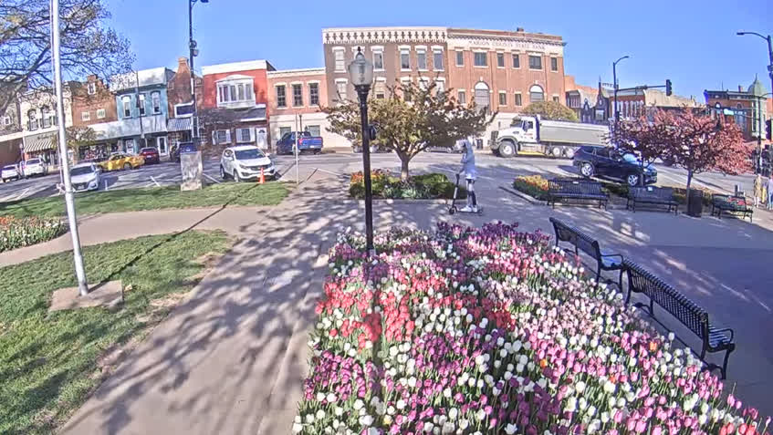 【LIVE】 Live Cam Pella - Iowa | SkylineWebcams