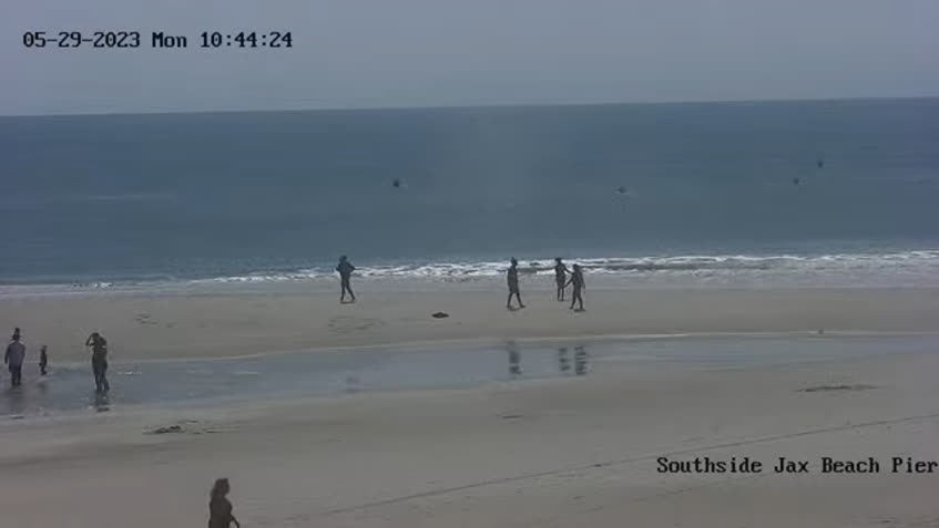 LIVE Camera