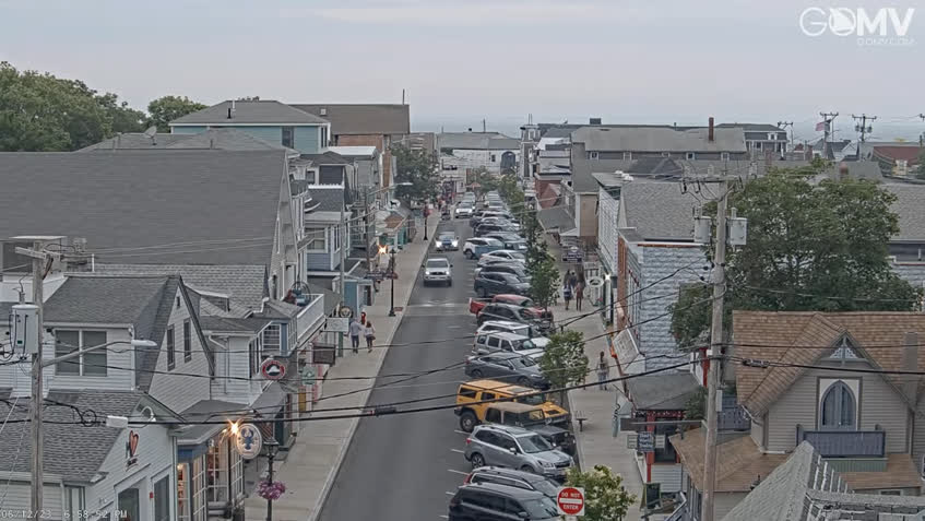 Live Cam