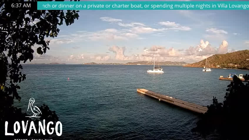 Live Cam