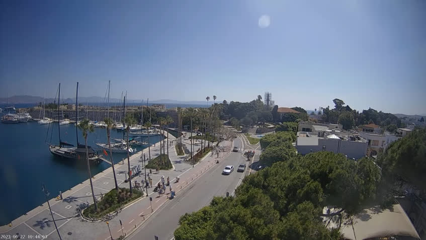 Live Cam