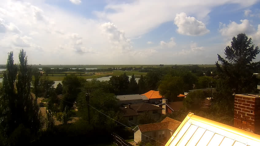 Live Cam