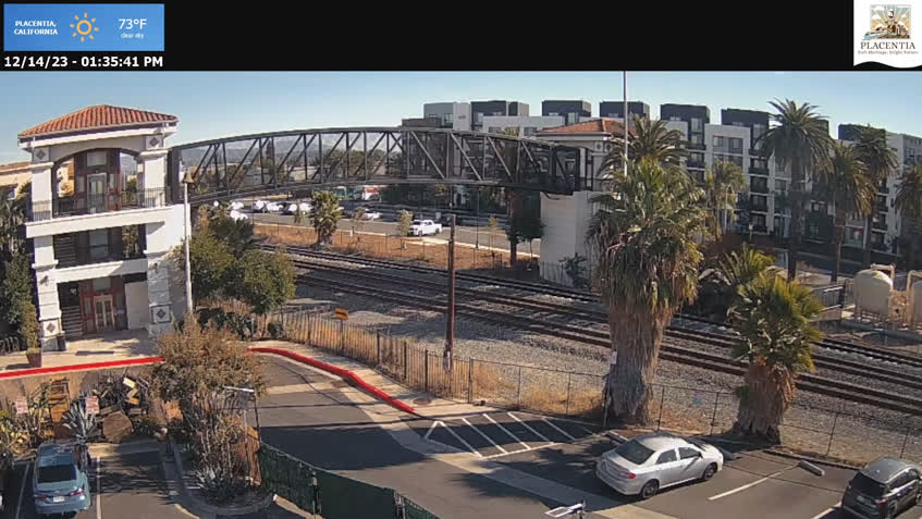 Live Cam