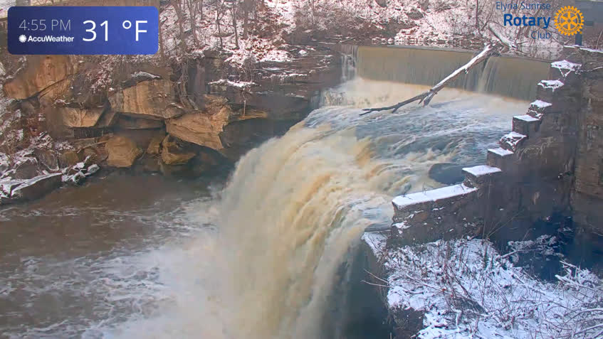 Live Cam