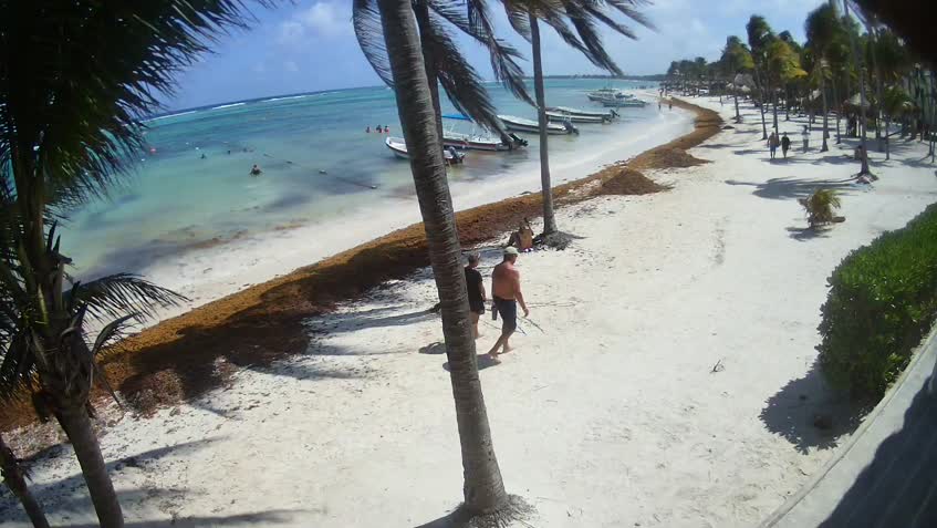 Webcam Akumal Bay - Quintana Roo