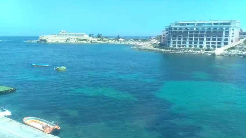 Live Cam