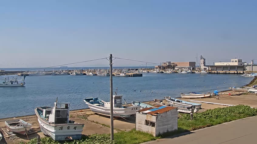 Live Cam