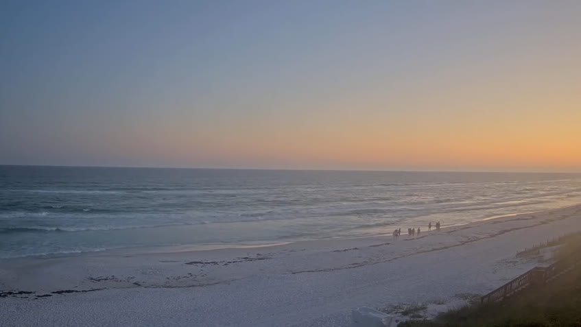 LIVE Camera