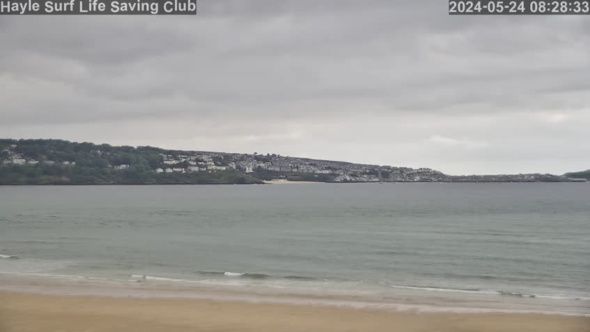 Live Cam