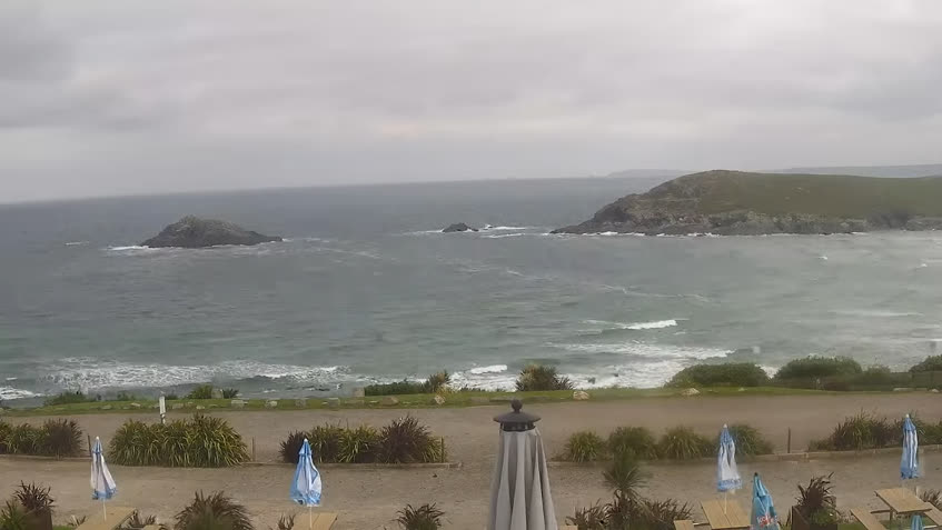 Live Cam