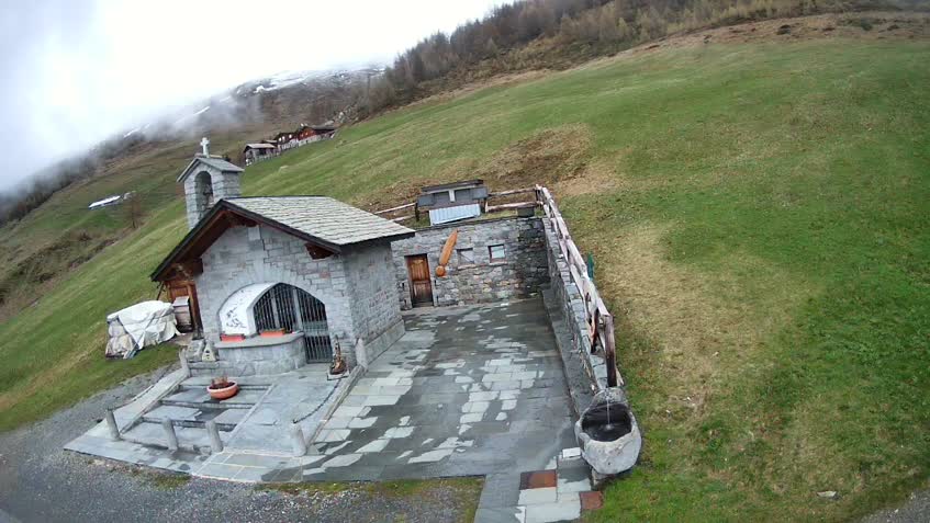 LIVE Camera