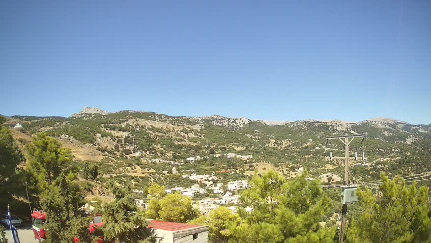 Live Cam