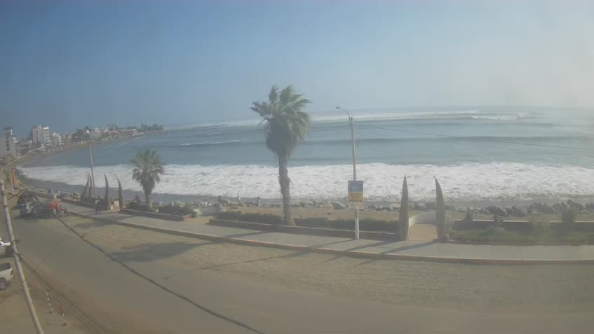 Live Cam