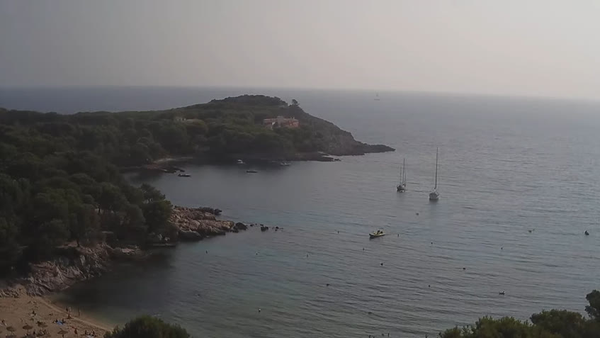 Live Cam