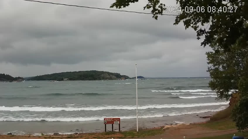 Live Cam