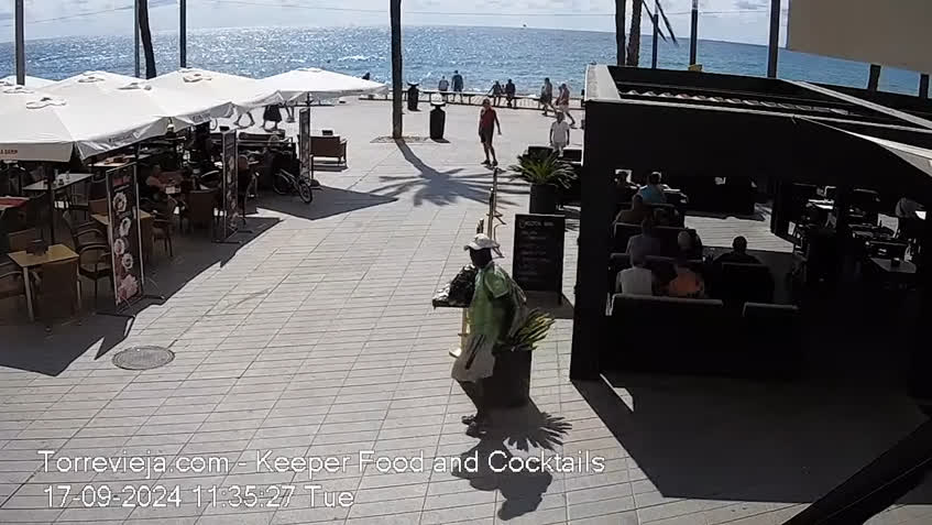 Live Cam
