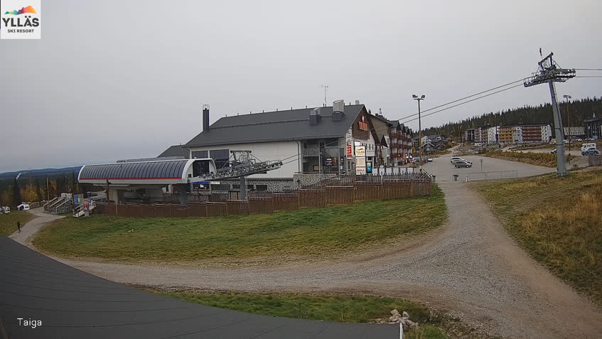 Live Cam