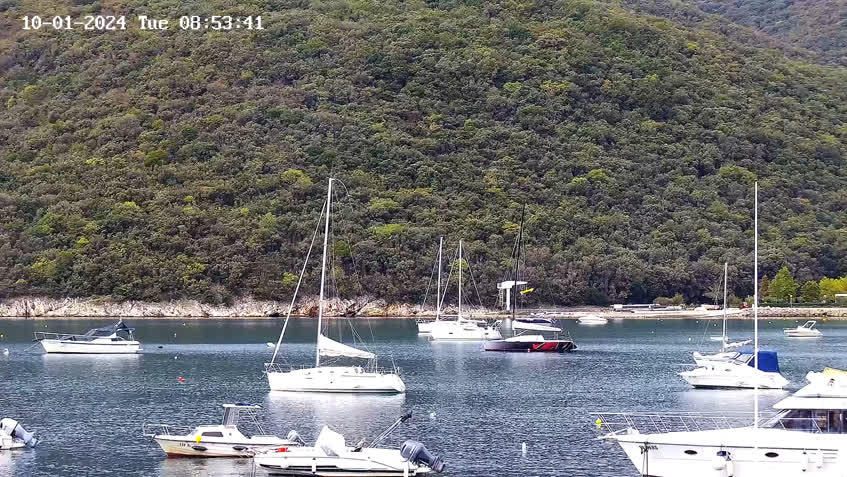 LIVE Camera