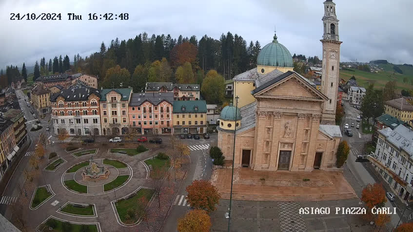 Live Cam